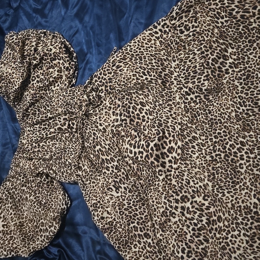 Leopard Print Maxi Dress - Picture 5 of 6